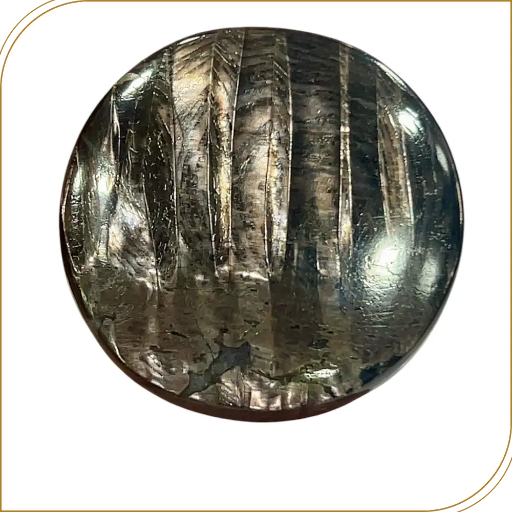 Natural Hypersthene Loose Gemstone Cabochon Round Drops Weight 14.95gm Size  35x35x5mm