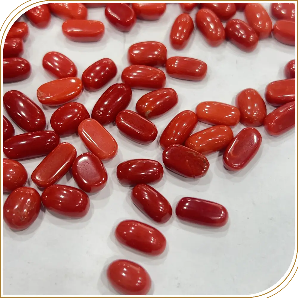 AAA Natural Red Italian Coral Cabochon Size 4 To 5ct Approx.